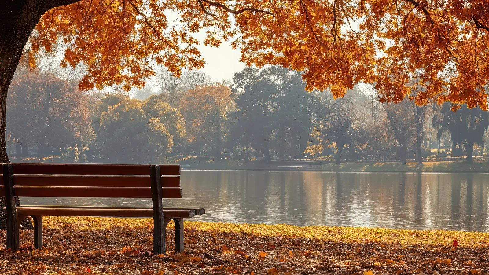 Banc en bois vide sous un arbre aux feuilles rousses, au bord d'un lac calme dans la douce lumière d'un après-midi d'automne